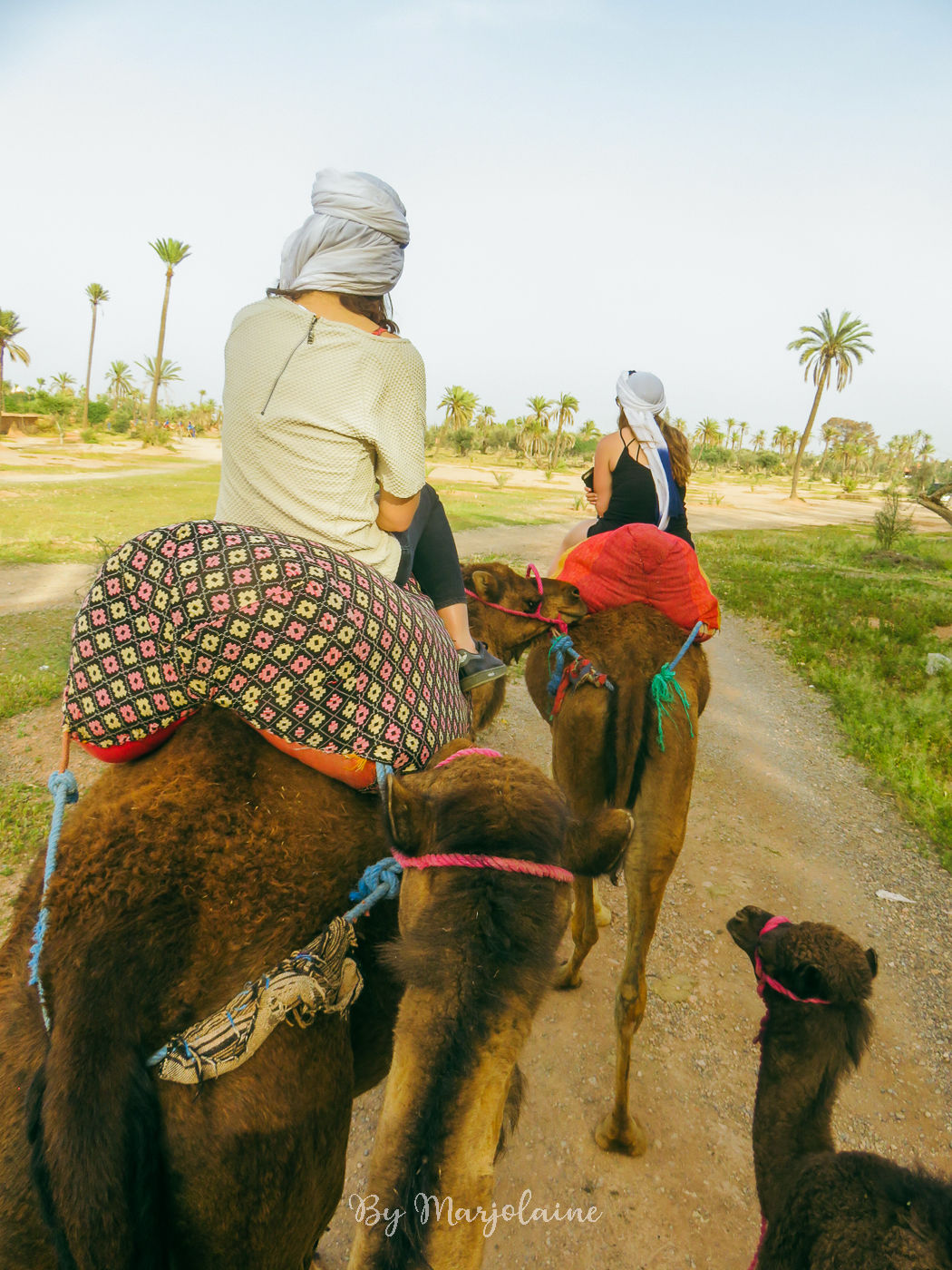 Excursion à dos de chameau dans la palmeraie de Marrakech