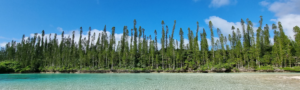 La piscine naturelle