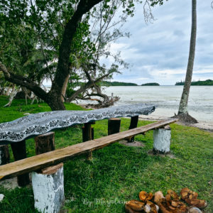 Baie des crabes de l'Ile des Pins