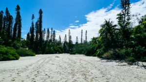 Rivière de sable de l'Ile des Pins