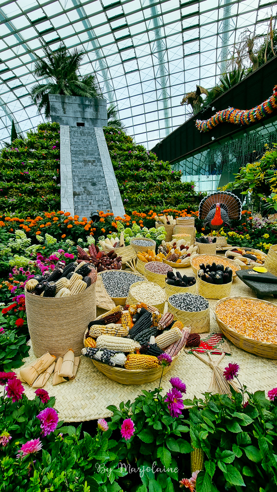 Flower dome Singapour