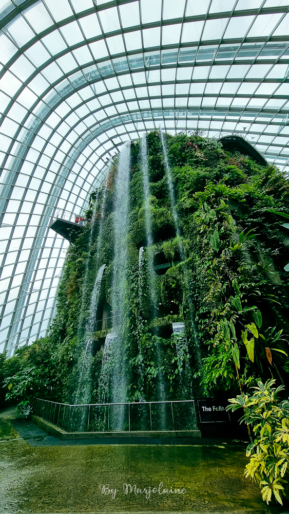 Cloud forest at gardens by the bay Singapour