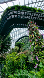 Cloud forest at gardens by the bay Singapour
