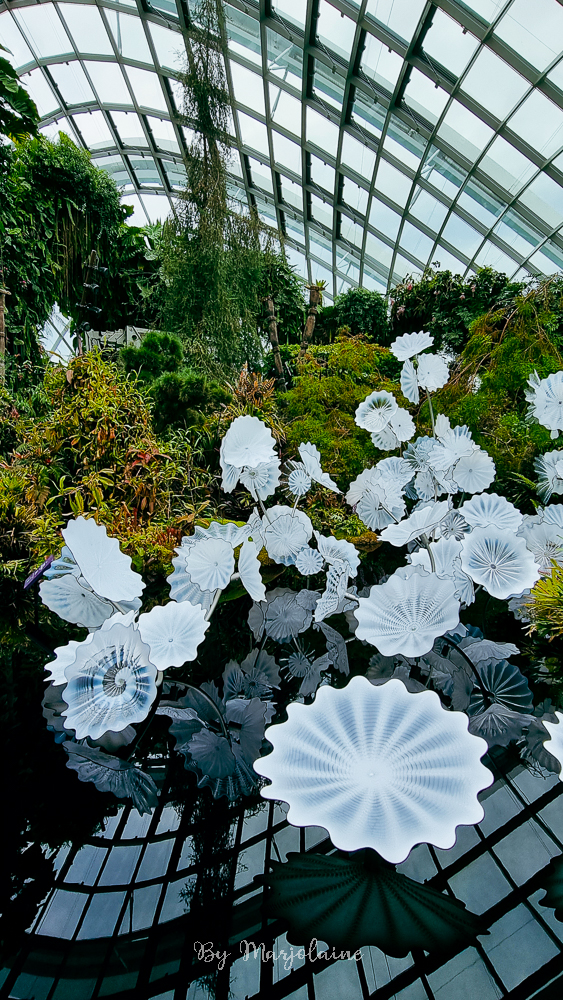 Cloud forest at gardens by the bay Singapour