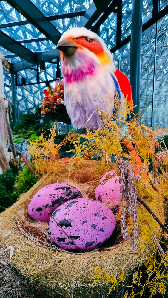 Flower fantasy at gardens by the bay Singapour