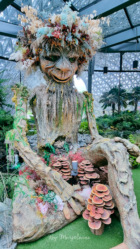 Flower fantasy at gardens by the bay Singapour