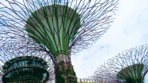 Super tree gardens by the bay Singapour