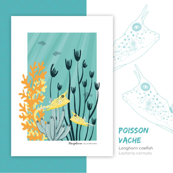 Affiche A4 Poisson vache