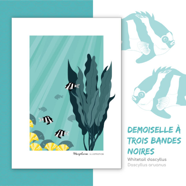 Affiche A4 demoiselle