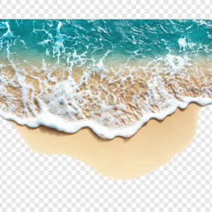 fond ocean