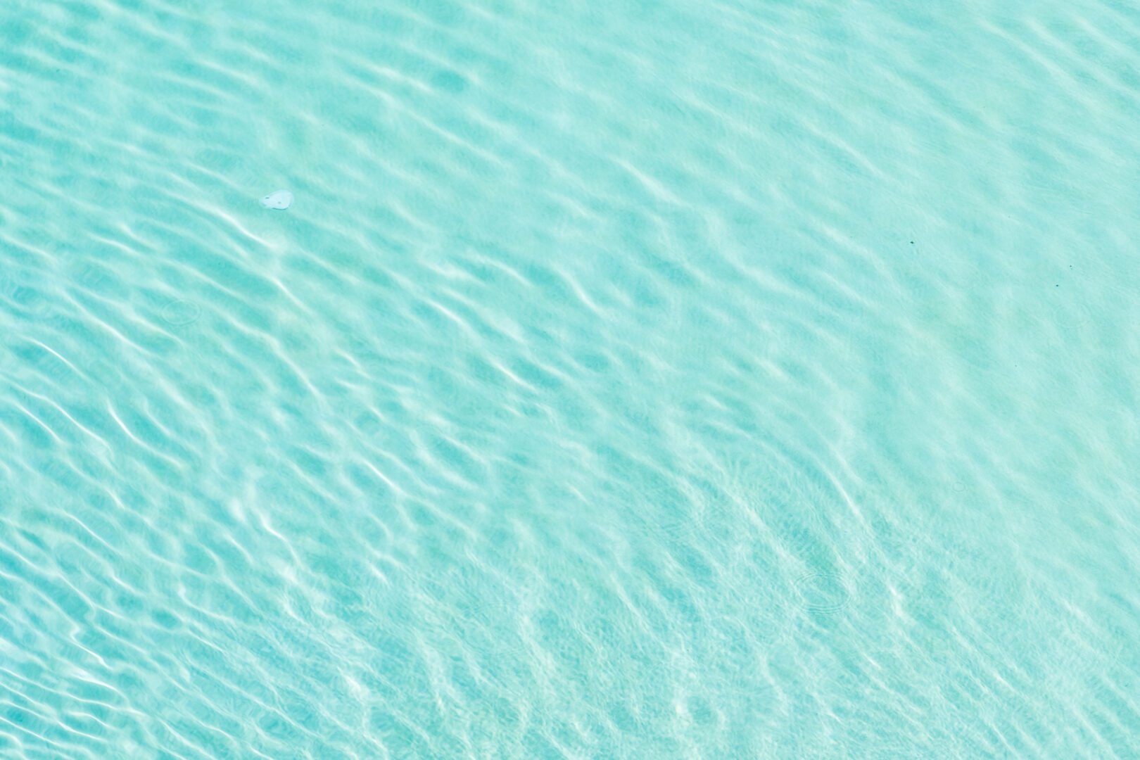 Fond eau de mer